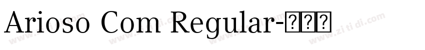 Arioso Com Regular字体转换